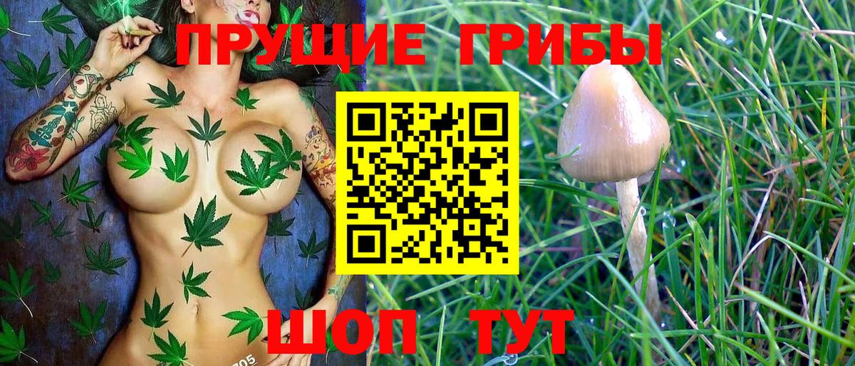 Псилоцибиновые грибы Magic Shrooms Знаменск