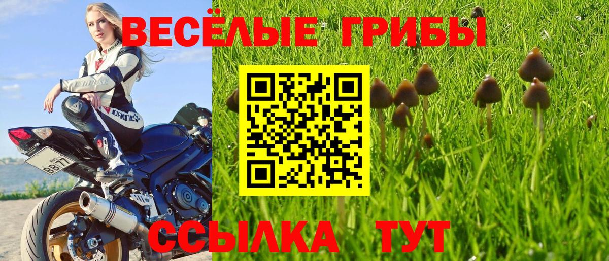 МДМА Знаменск