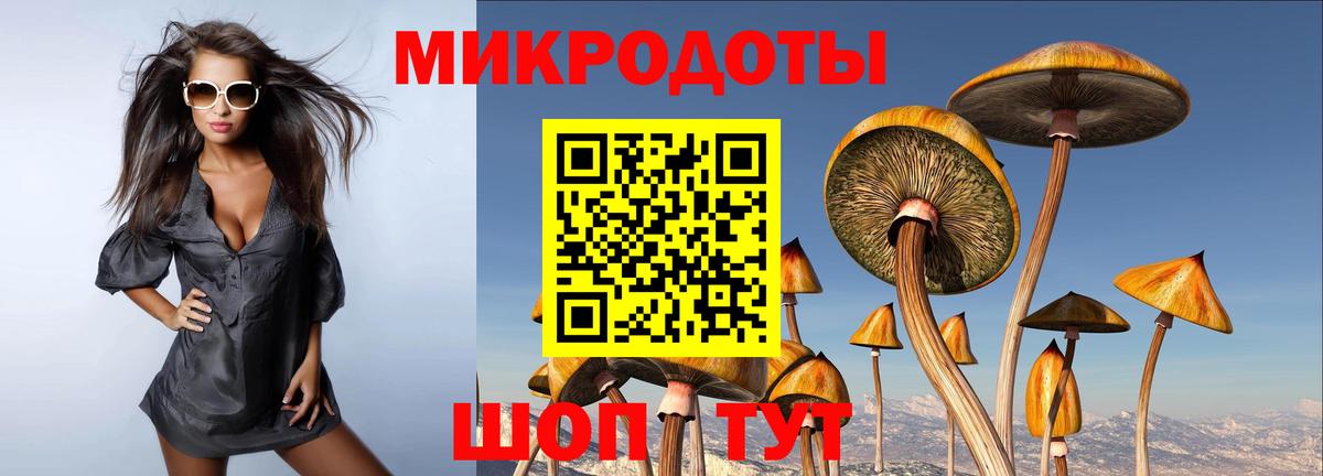 Псилоцибиновые грибы мухоморы  Вход с VPN  хочу   Знаменск 