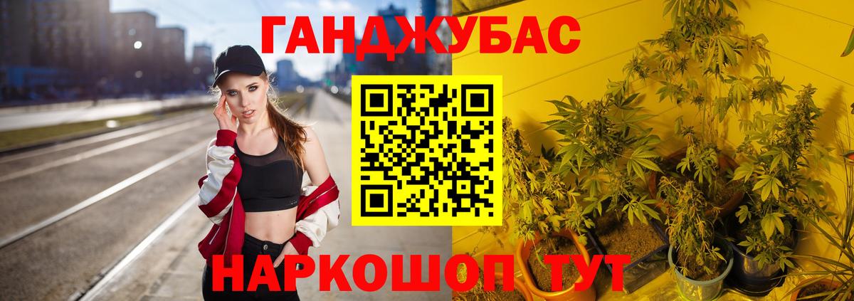 Бошки марихуана план  Каннабис AK-47  Вход с VPN  Знаменск 